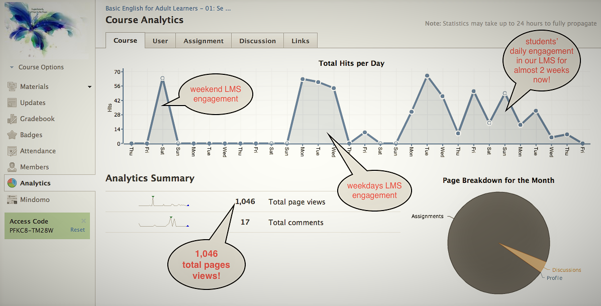 Course Summary – Delafe Academic Portfolio: IDD&e And Higher Ed. PhD